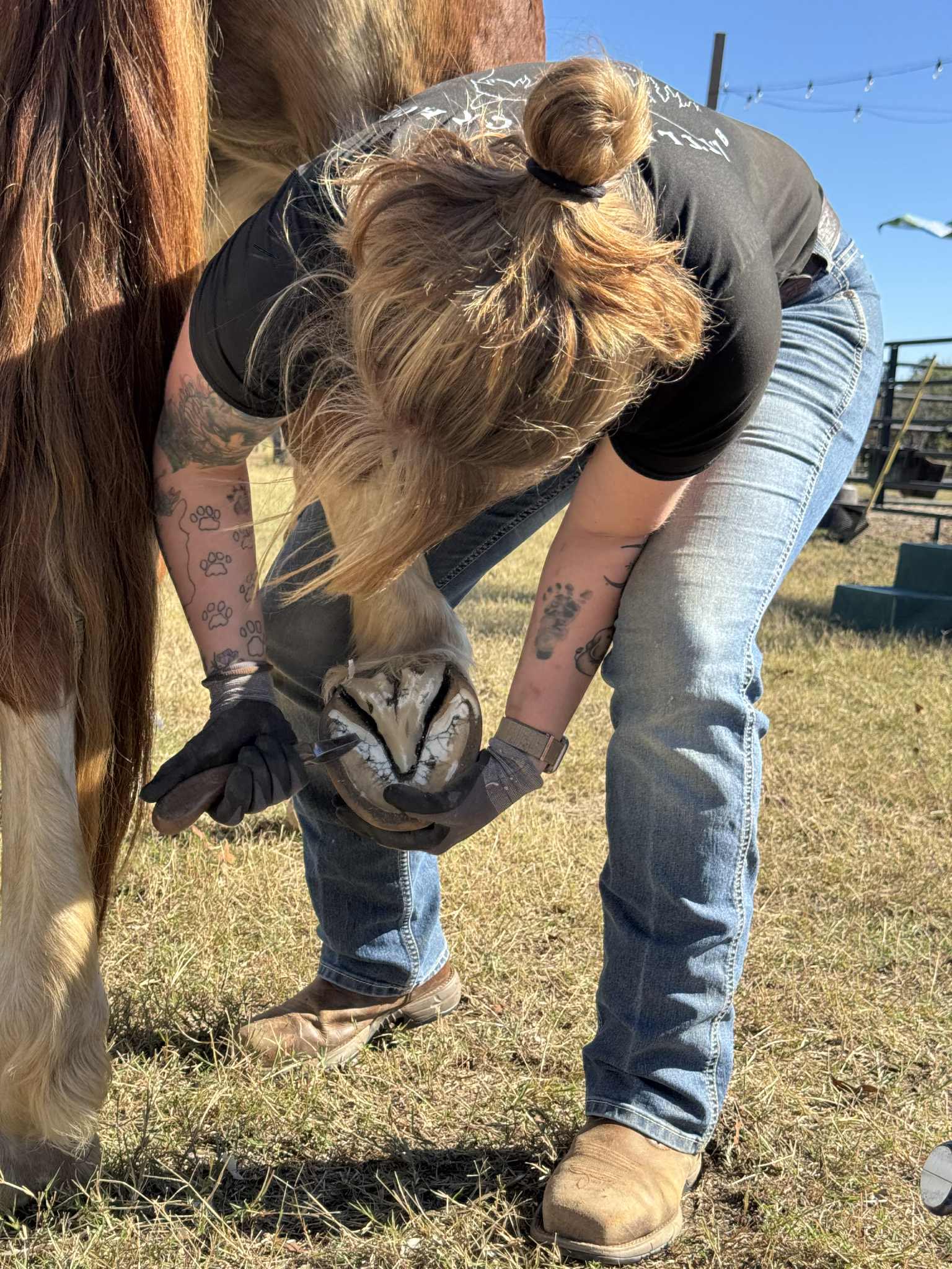 Mariah trimming outdoors in sunshine