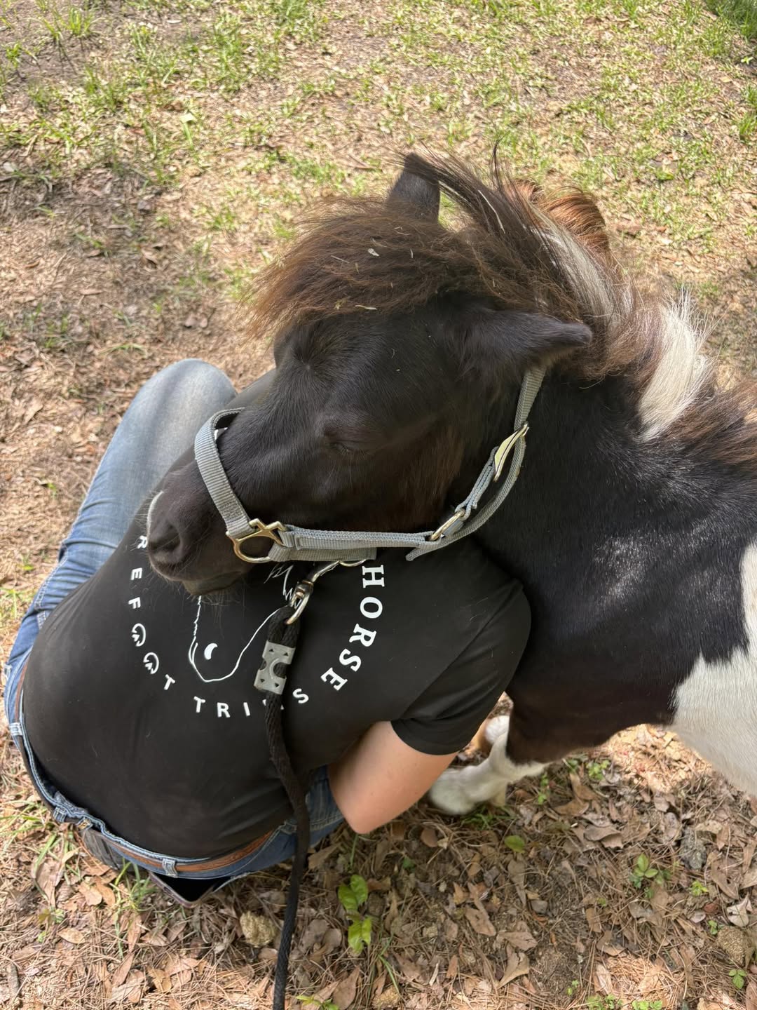 Small pinto horse nuzzling Mariah